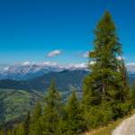 Wandern mit Panoramablick am Grafenberg Wagrain Sommer