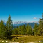 Almwiesen mit Panorama Grafenberg Wagrain Sommer